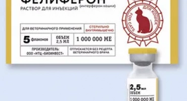 Feliferon - как и колко дни да намушкате котка